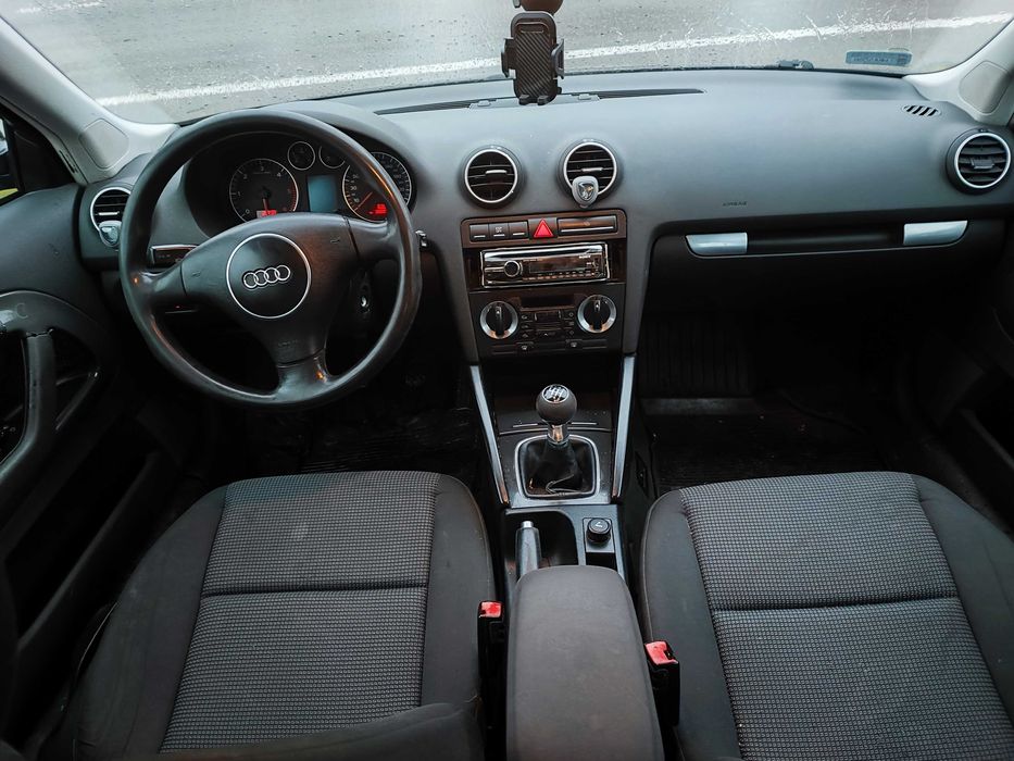 Audi A3 8P 2.0 TDI