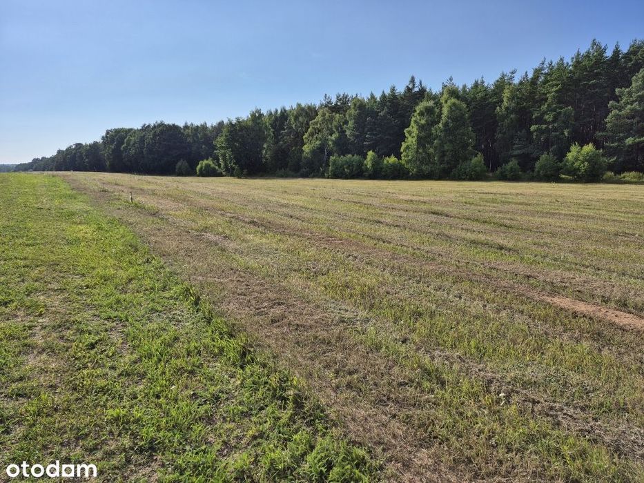 Działki Budowlane Przy Lesie Państwowym - Widok 4