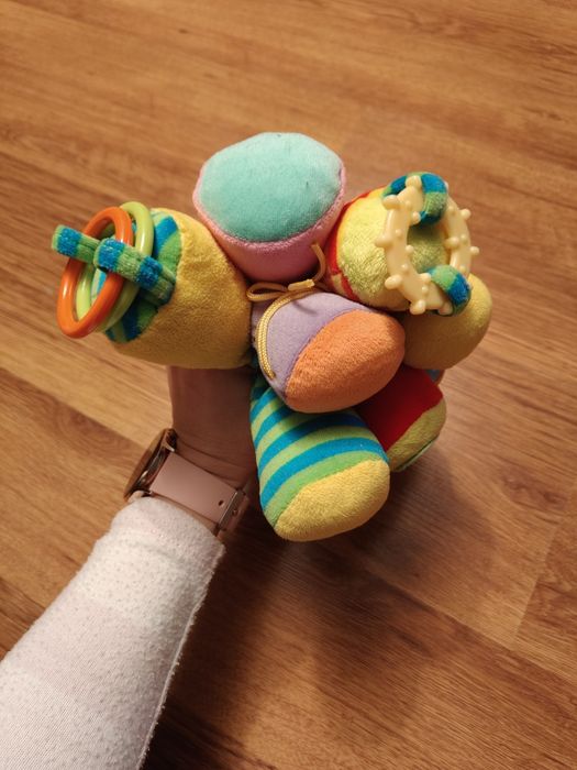 Ośmiornica sensoryczna