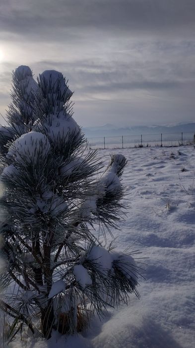 Domki z widokiem na Karkonosze/ blisko Karpacza/ akceptujemy zwierzę