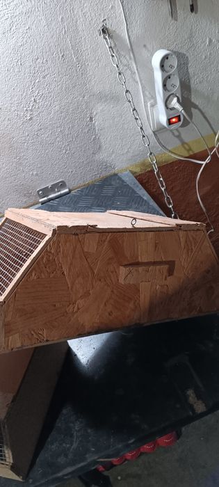 Ninhos,transportadoras varias medidas e gaiolas