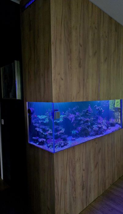 Akwarium Morskie 535 L szyba OptiWhite