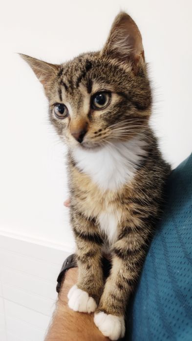 Maleństwo szuka miłości :)