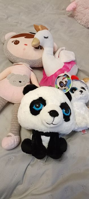 Nowa panda i pluszaki
