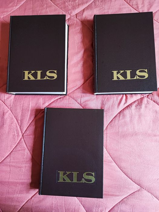 Dicionário Enciclopédico Koogan Larousse Seleções