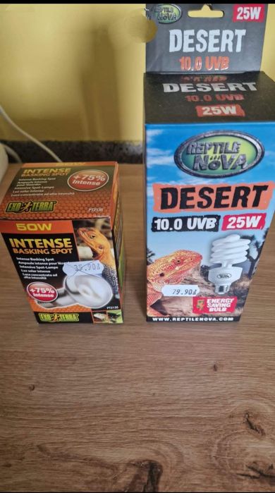 Terarium dla kameleona