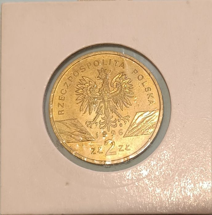 Moneta jeż 1996r