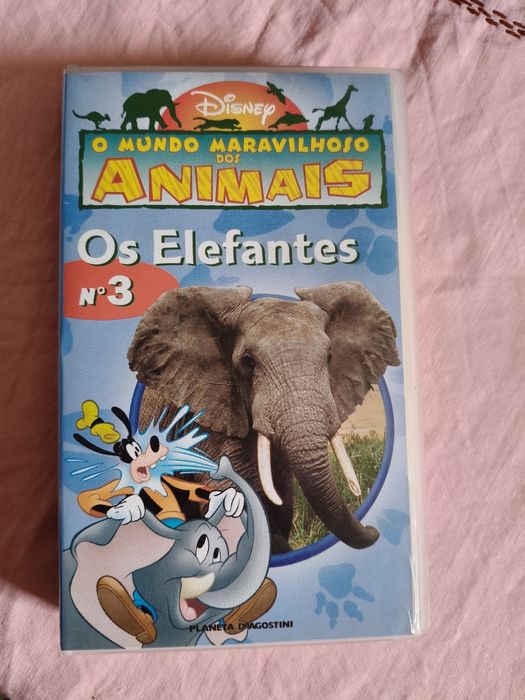 Coleção de livros sobre animais da Walt Disney