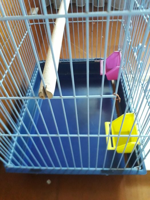 Gaiola para papagaio