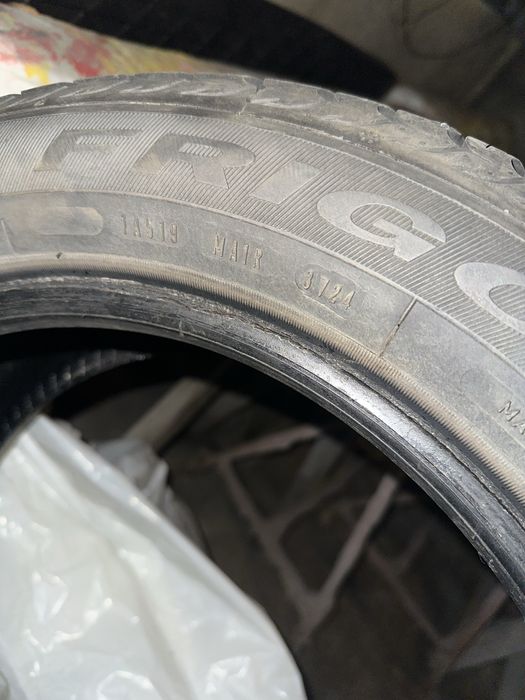 195/55/16 Debica Frigo 24 R