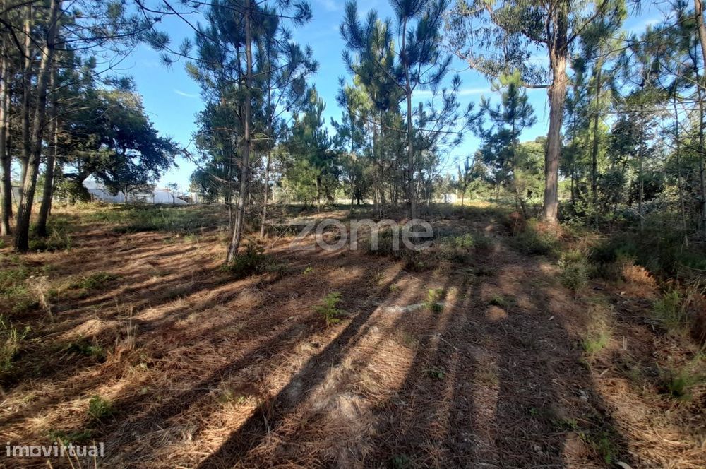 Terreno Rustico