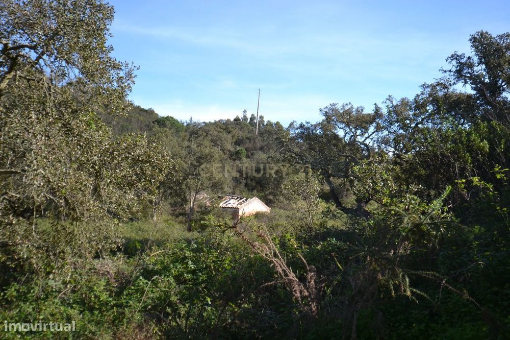 Terreno Rústico e Urbano com mais de 4 hectares na Barranquinha | Port