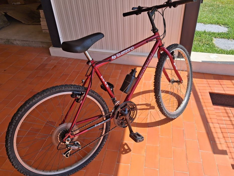 Bicicleta adulto