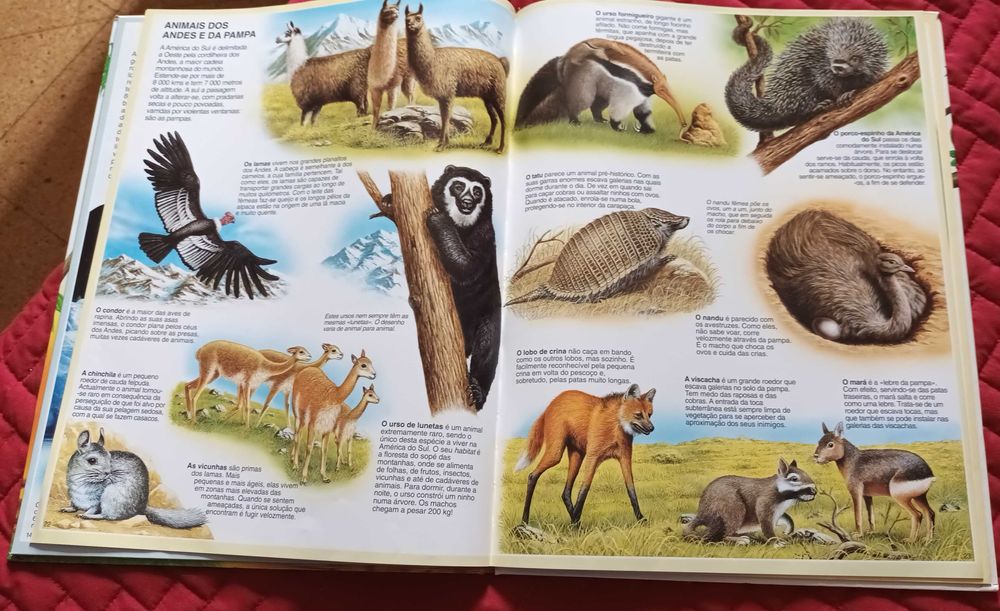 Livro - Atlas dos Animais