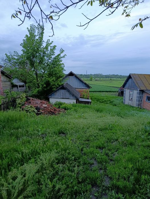 Продам будинок у селі