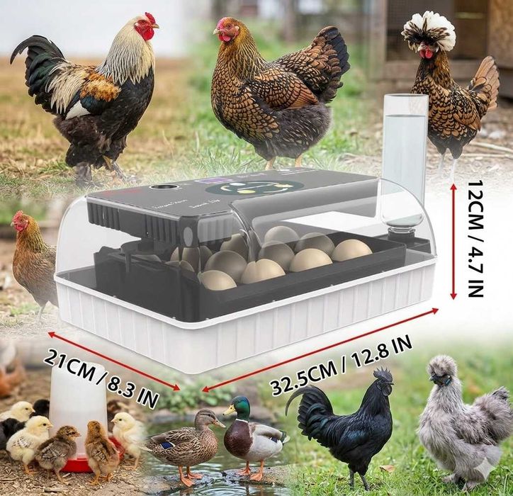 Incubadora Aves Automática * NOVA