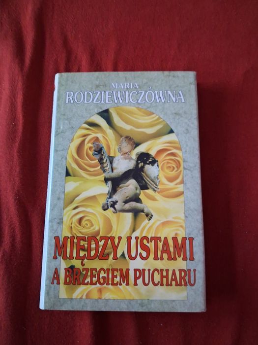 Między ustami a brzegiem pucharu Maria Rodziewiczówna