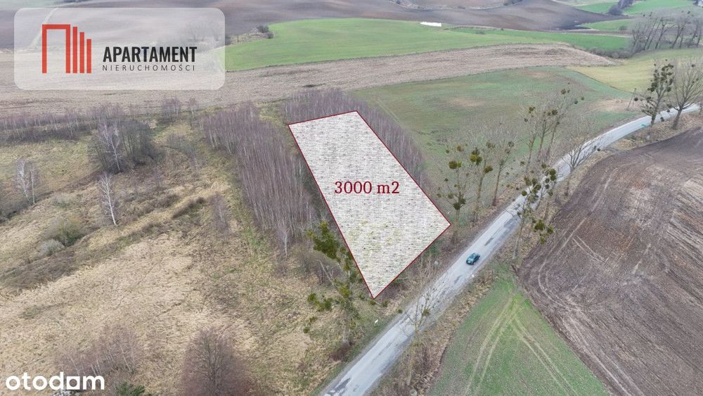 * Działka 3000m2 z WZ Łąsko Małe Koronowo