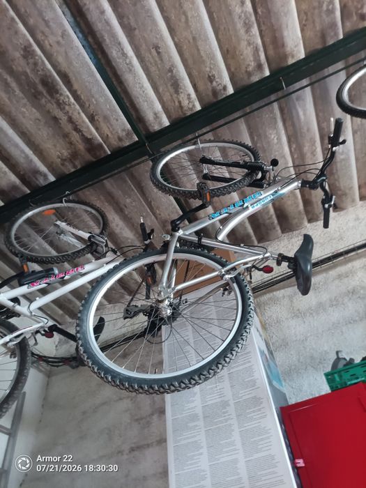 Vendo 5 Bicicletas Orbita