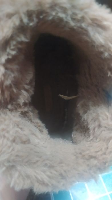 Уггі жіночі,теплі,замшеві