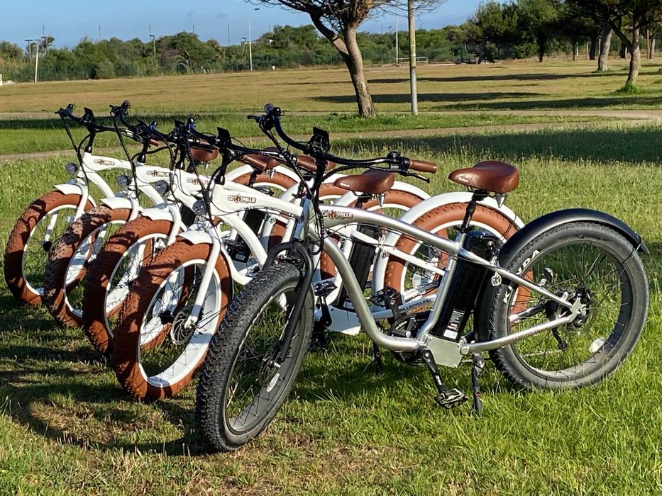 4 Bicicletas Elétricas Gorilla Mâle – Fat Bike | Junho 2024