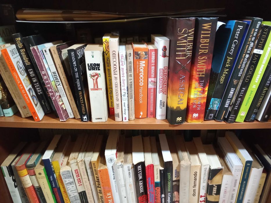 Livros 2.732, diversos, alguns raros e antigos, diversos autores,