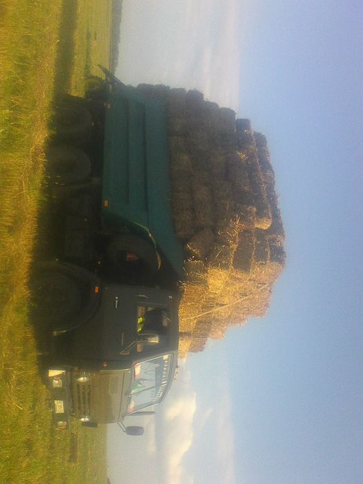 Тюки соломи  пшеничної ячміної декорації