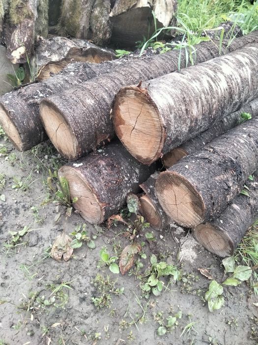 Черешня на дрова