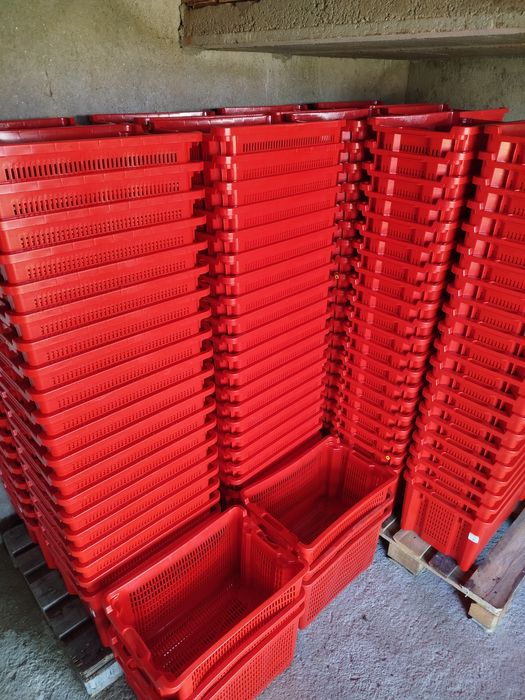 Caixas de plástico agricultura