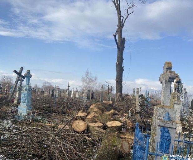 Вирізання дерев накладовищі