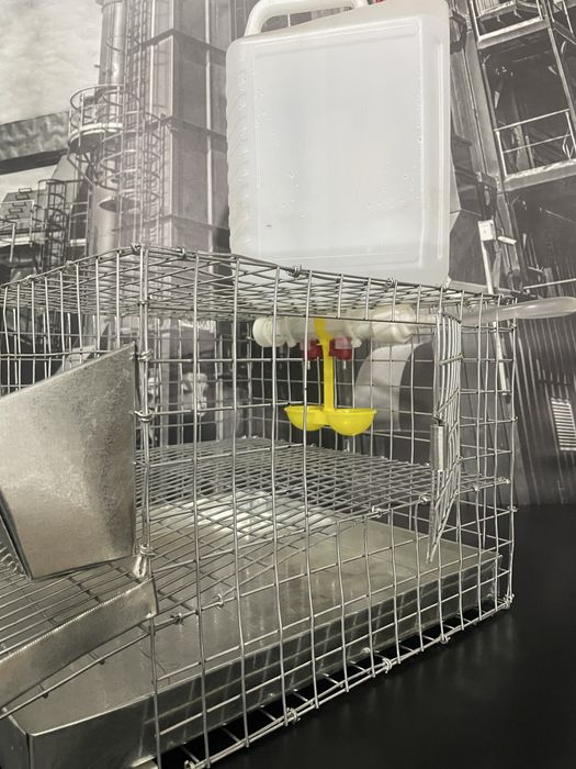 Клітка для перепілок до 10 голів