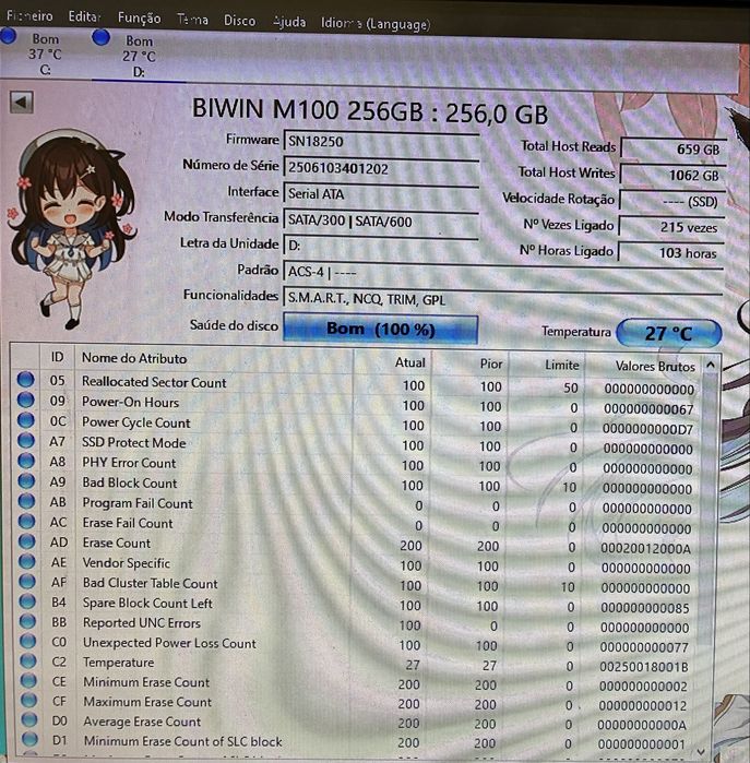 Disco SSD 256Gb BIWIN