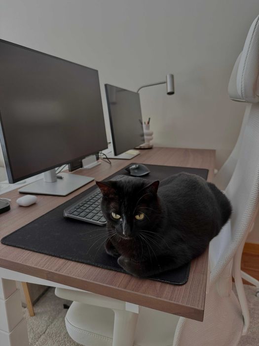 Dell UltraSharp U2723QE 27” 4K Ultra HD IPS