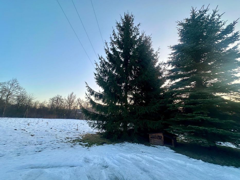 Dom 160 m² | działka 60 ar | Latoszyn | bez pośredników