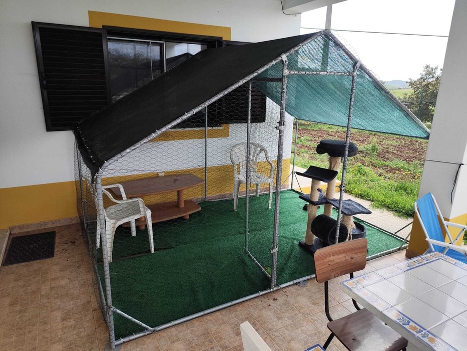 Gatil / Galinheiro (Cattery/coop chicken)