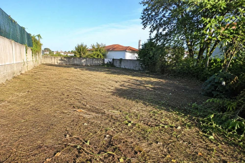 Land Clearing