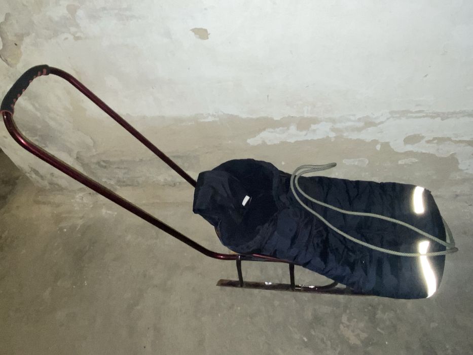 Дитячі санчата з чихлом