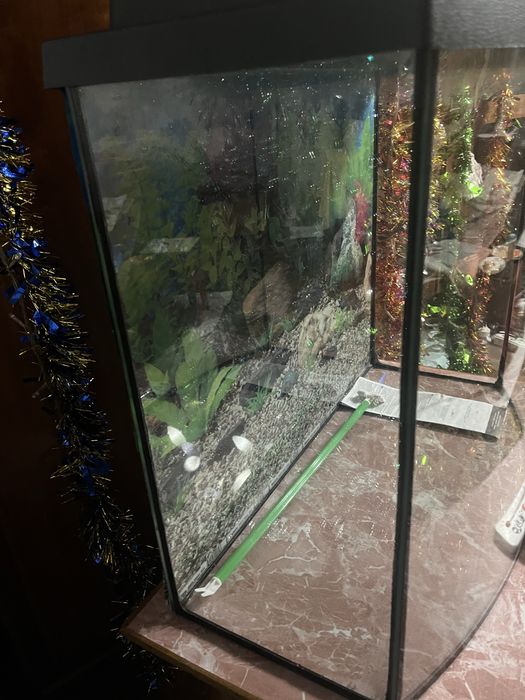 Акваріум в ідеале на 100л