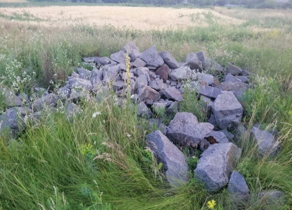 Участок 15 соток приватизирован