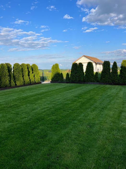 Usługi ogrodnicze - zakładanie trawników, kompleksowa pielęgnacja