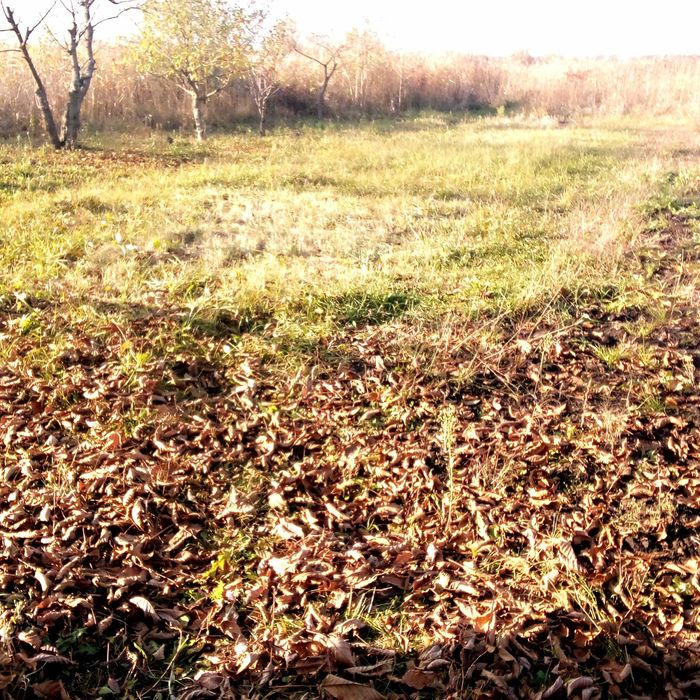 Продам Участок!!!