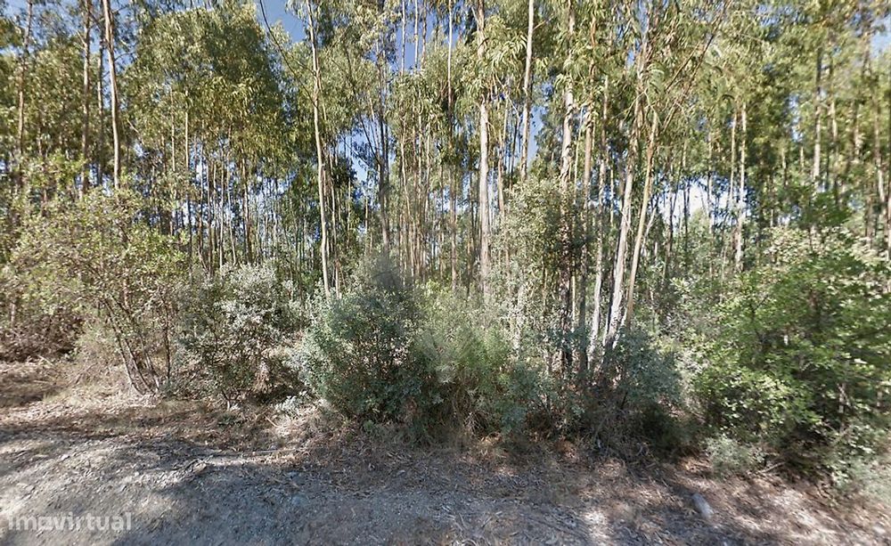 Terreno  para venda — Fátima, Santarém