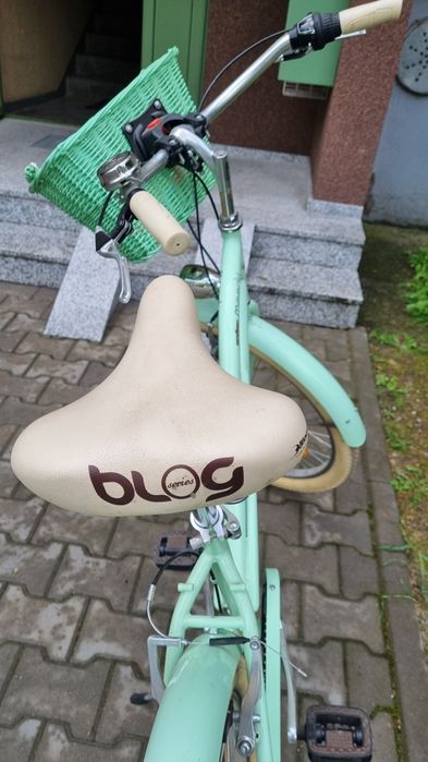 Rower miejsski Indiana cruiser moody