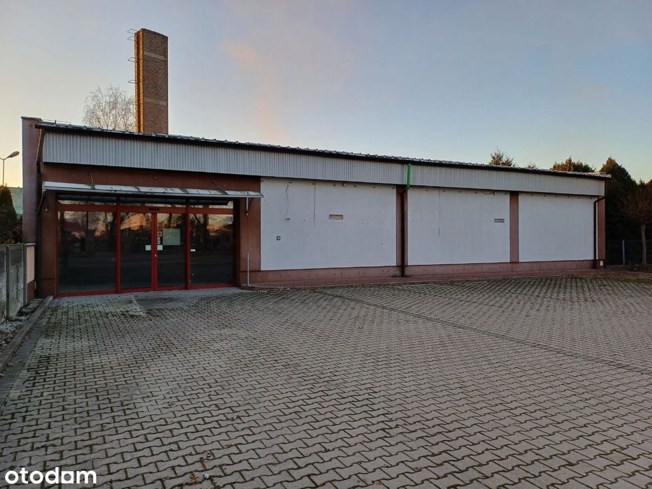 Sprzedaż lub wynajem lokalu użytkowego, Kamieniec