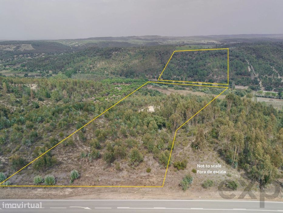 Quinta Florestal de 12,5 Hectares com Casa de Lavrador Centenária em B