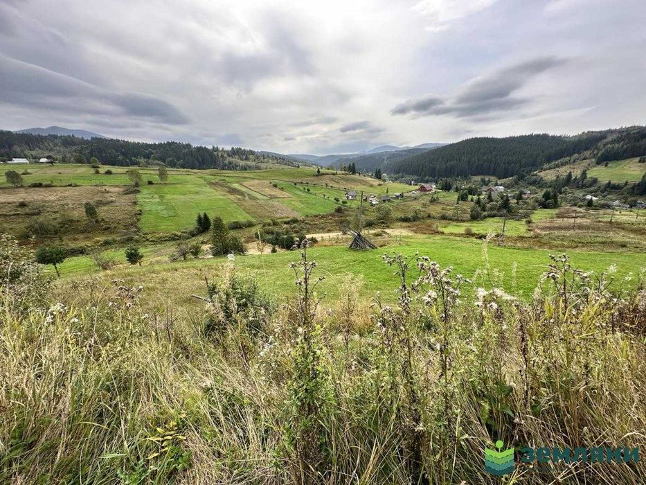 Зем. ділянка 57сот с.Вишків (4)