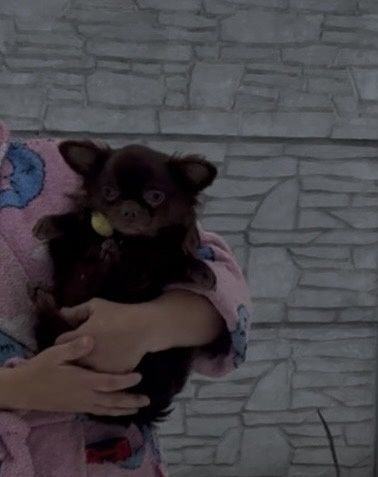 Любимчик готов переехать к вам)