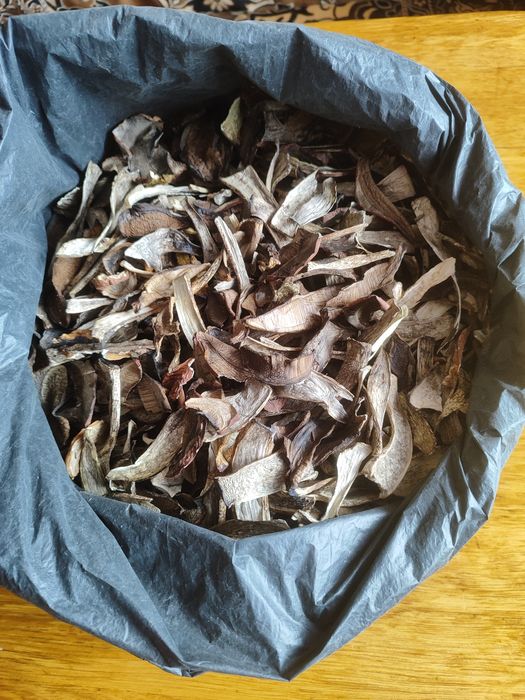 Гриби білі мариновані,вищого гатунку.(Закарпаття,Свалявщина)шапочки.