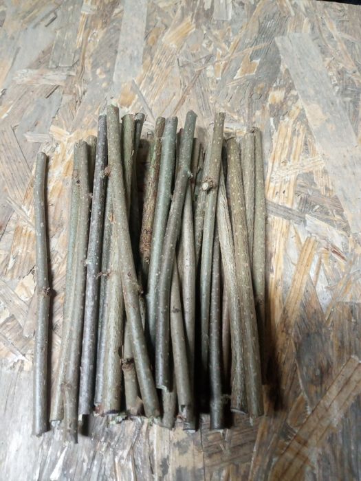 Корм для шиншил гризунів сточуваня зубів гілочки ветки