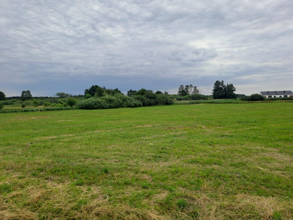 Inwestycyjny PEWNIAK w Dolinie Baryczy – 1,05 ha z bezterminowymi WZ! (Odolanów) - Widok 5
